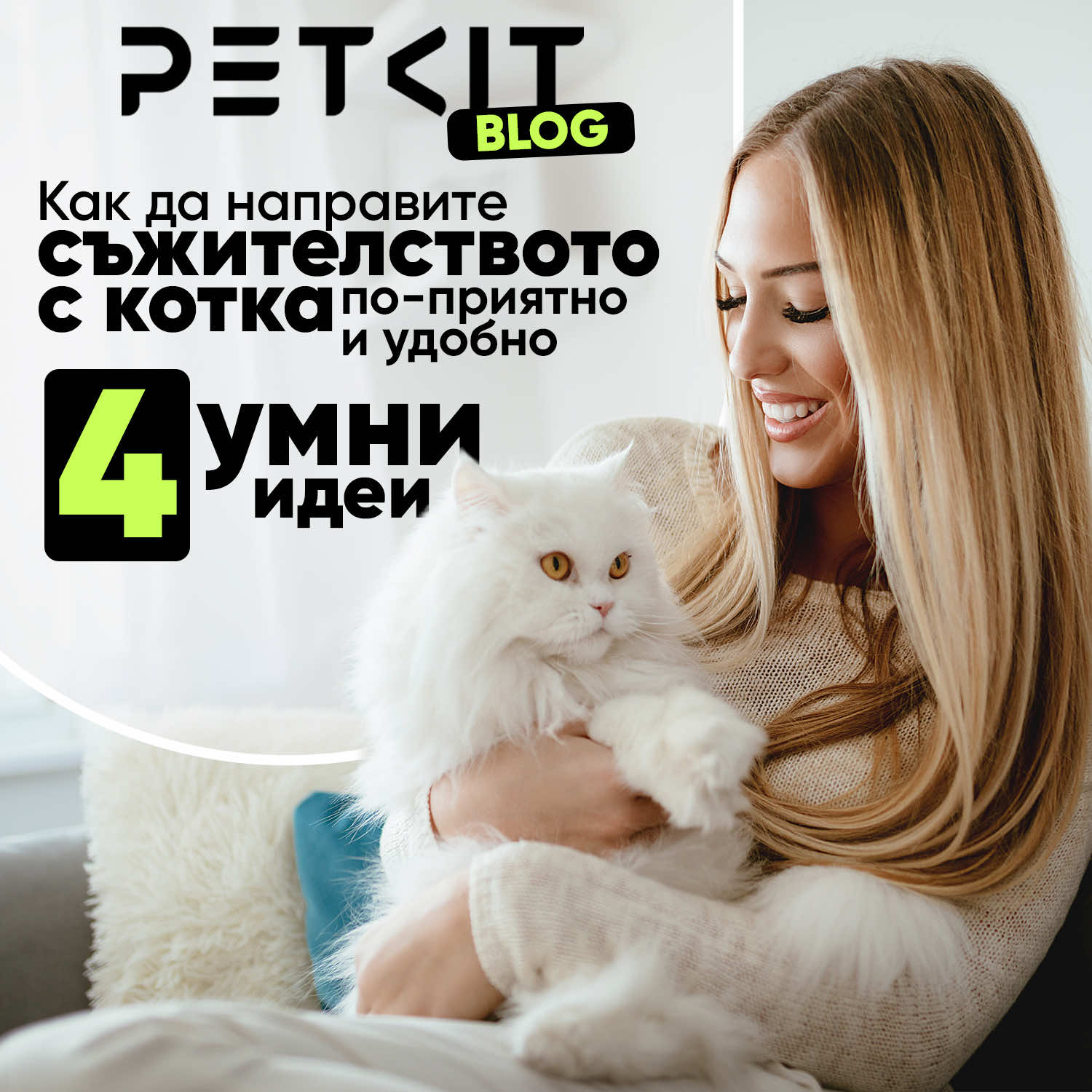 Какво трябва да има един съвременен дом с котка