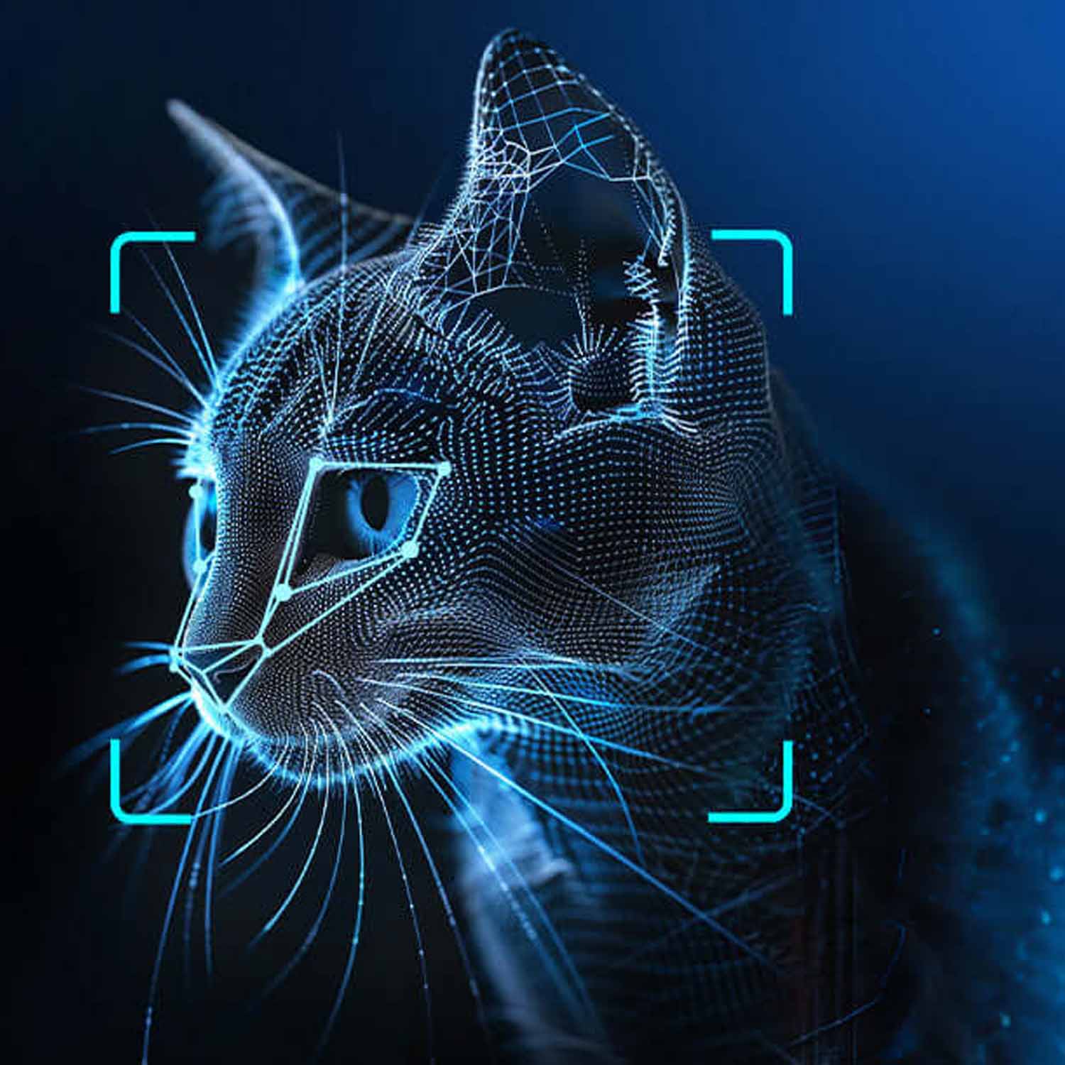 AI разпознаване на котешки лица: спокойствие за стопани с повече от една котка