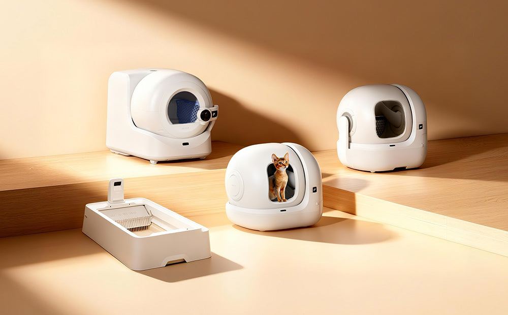 Най-добрите автоматични котешки тоалетни