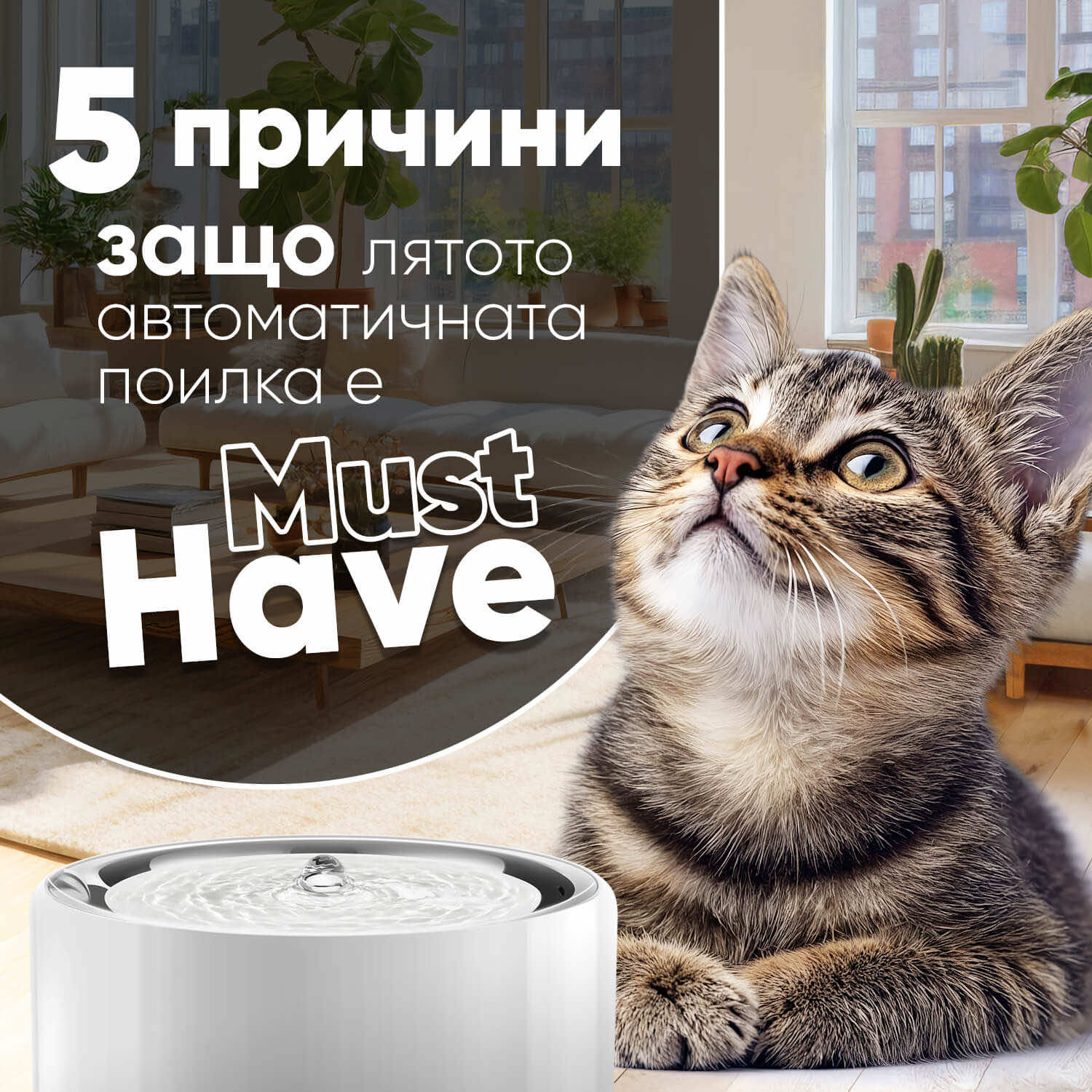 5 причини защо автоматичните поилки улесняват живота ви
