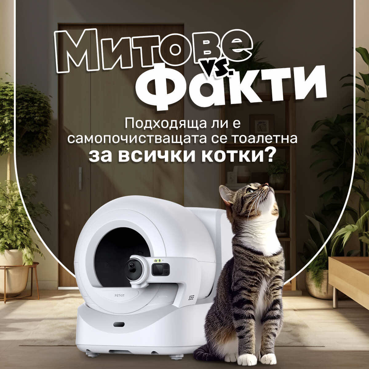 Митове и факти: Подходяща ли е самопочистващата се тоалетна за всяка котка?