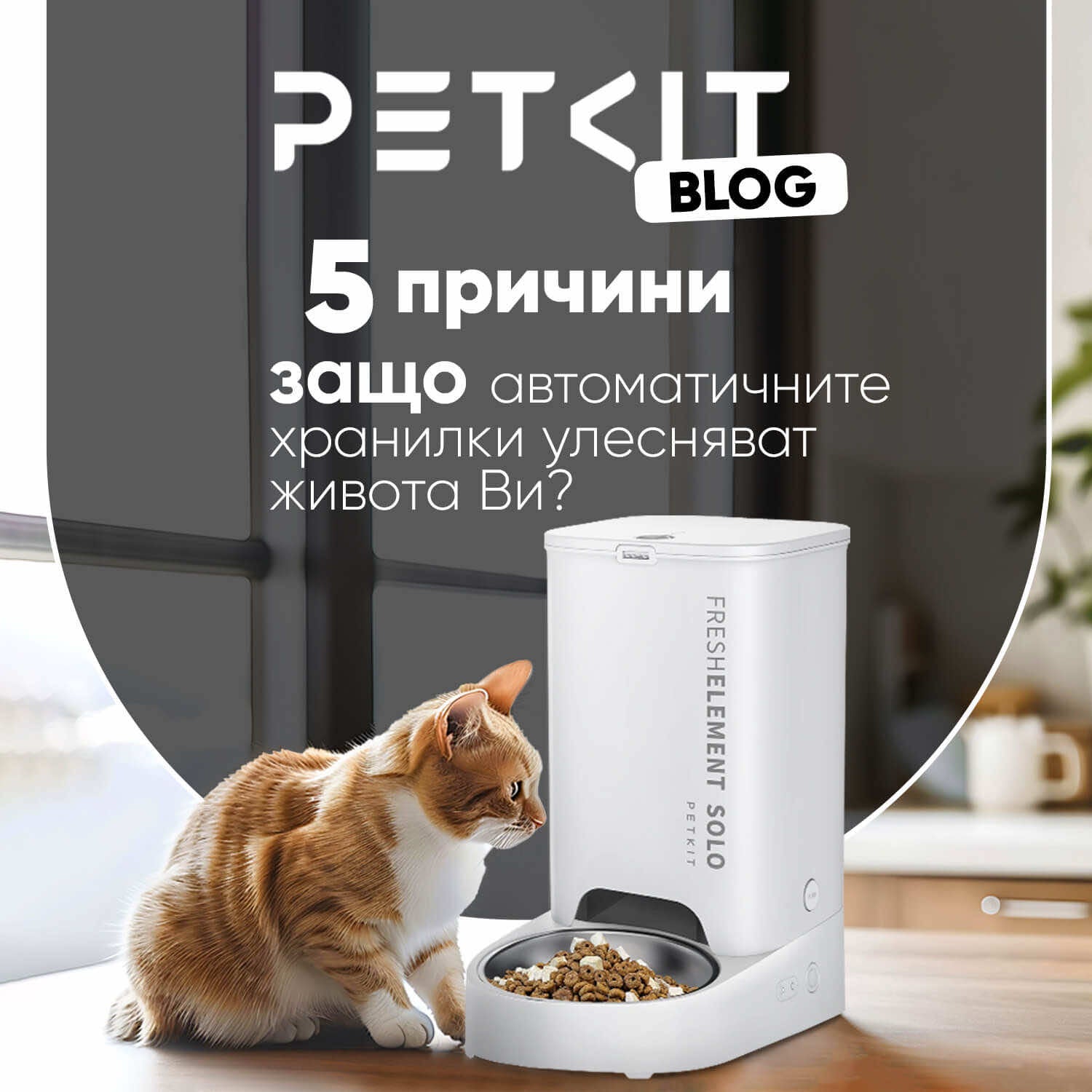 5 причини защо автоматичните хранилки улесняват живота ви