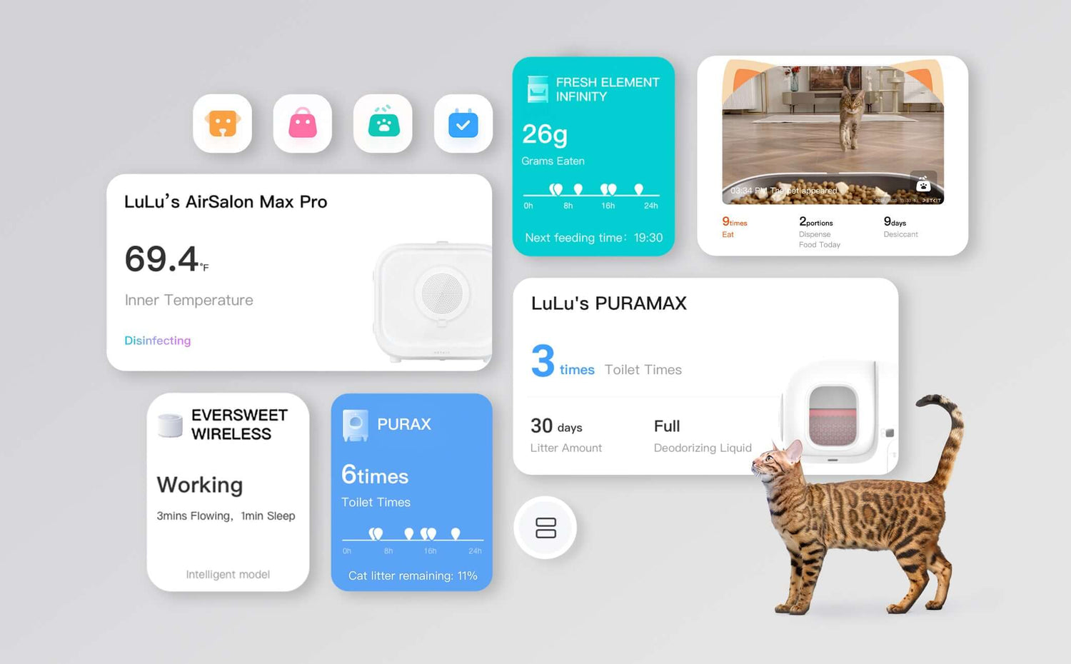 PETKIT APP: Оптимизирайте грижата за домашния любимец – всичко на едно място