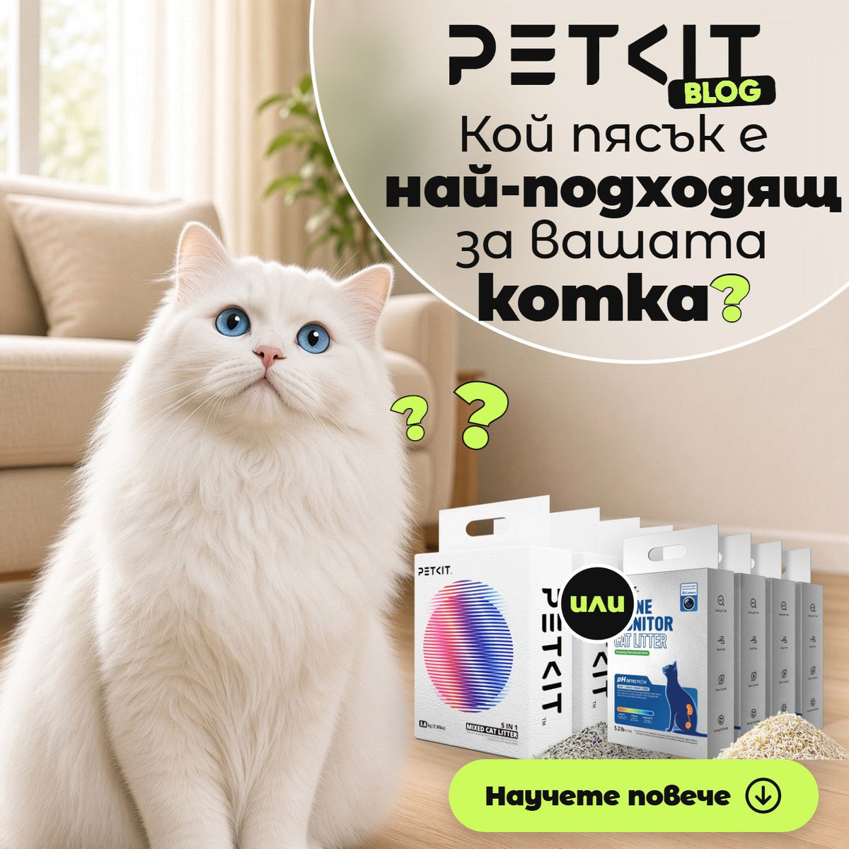 Кой пясък е най-подходящ за вашата котка ?