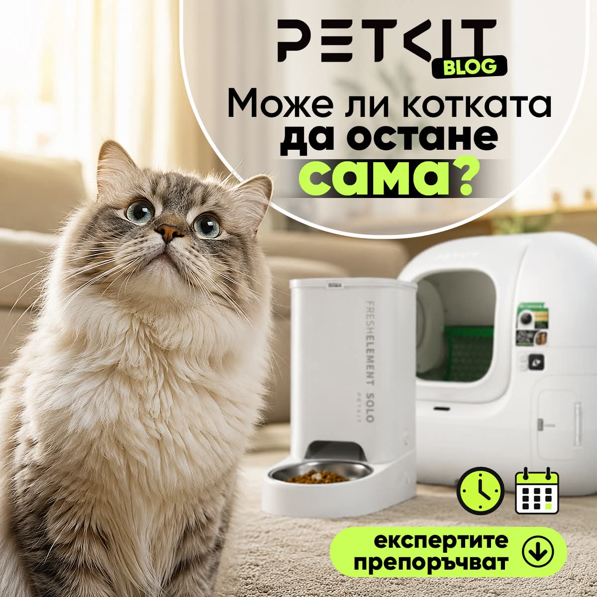 Колко дни може да оставим котката си сама?