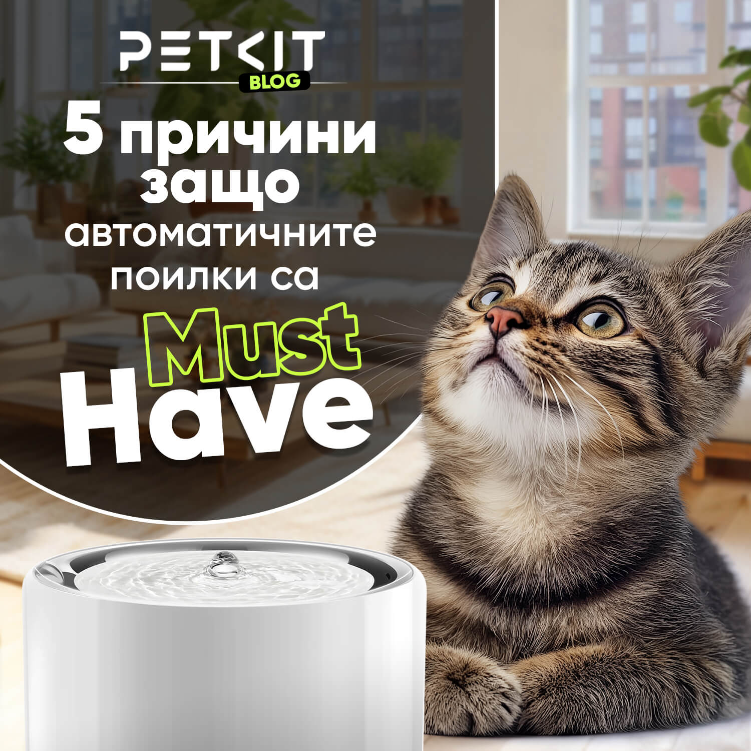 5 причини защо автоматичните поилки улесняват живота ви