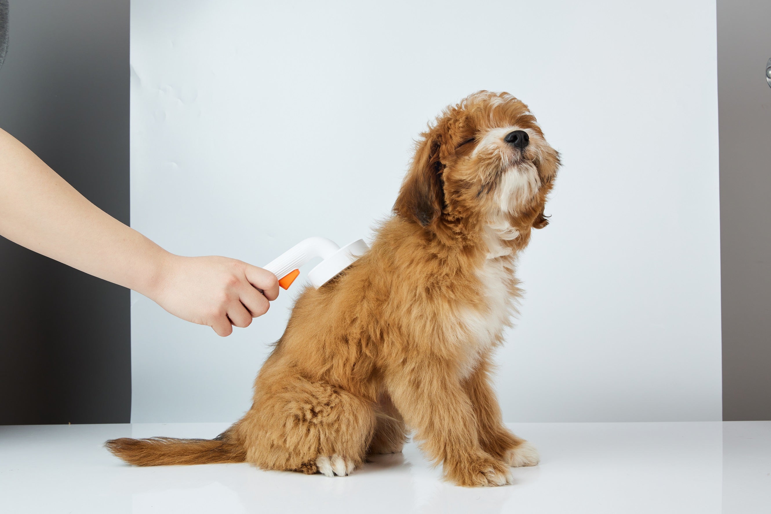 Четка за расресване Petkit Brush 2