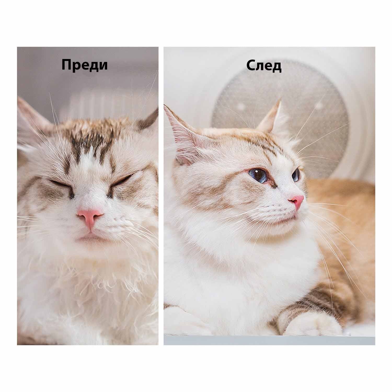 Сушилня Petkit Air Salon Max