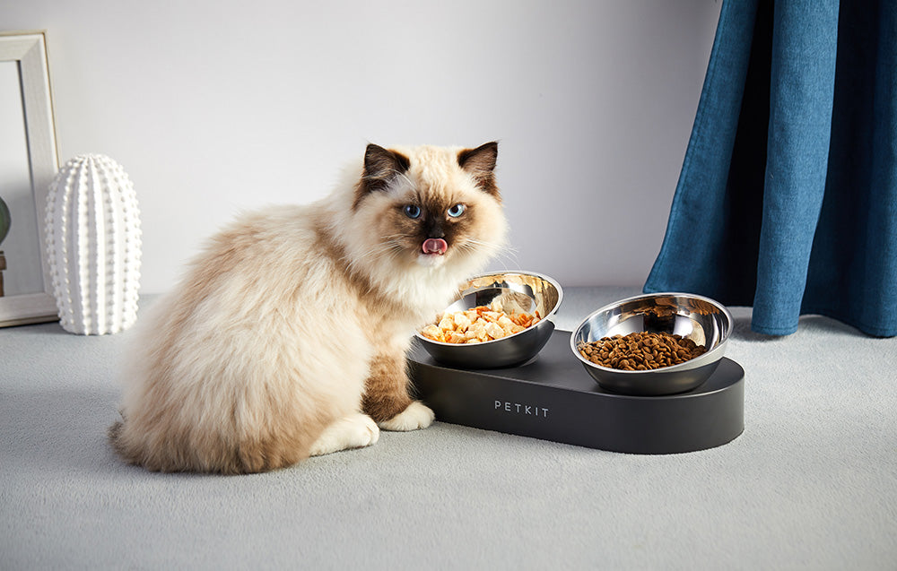Хранилка Petkit Fresh Nano